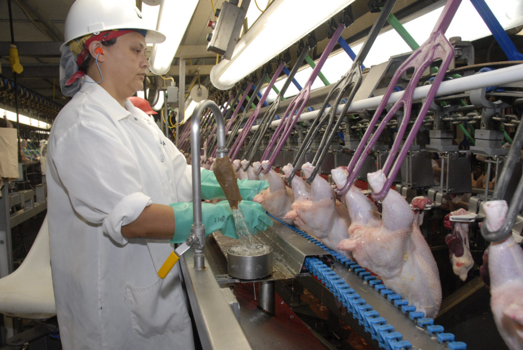 Whistleblower Leads Campaign Against Weakened Poultry Inspection