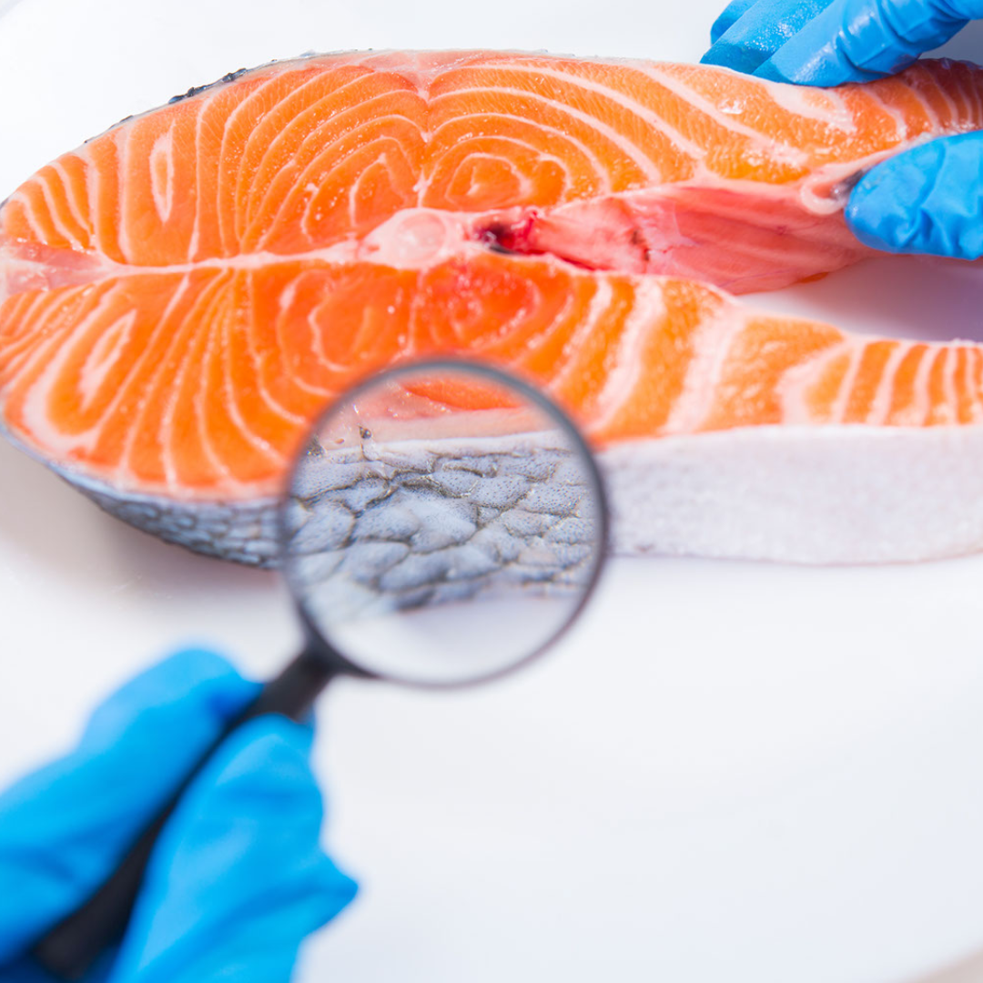 Industrial Aquaculture | Food Integrity CampaignFood Integrity Campaign