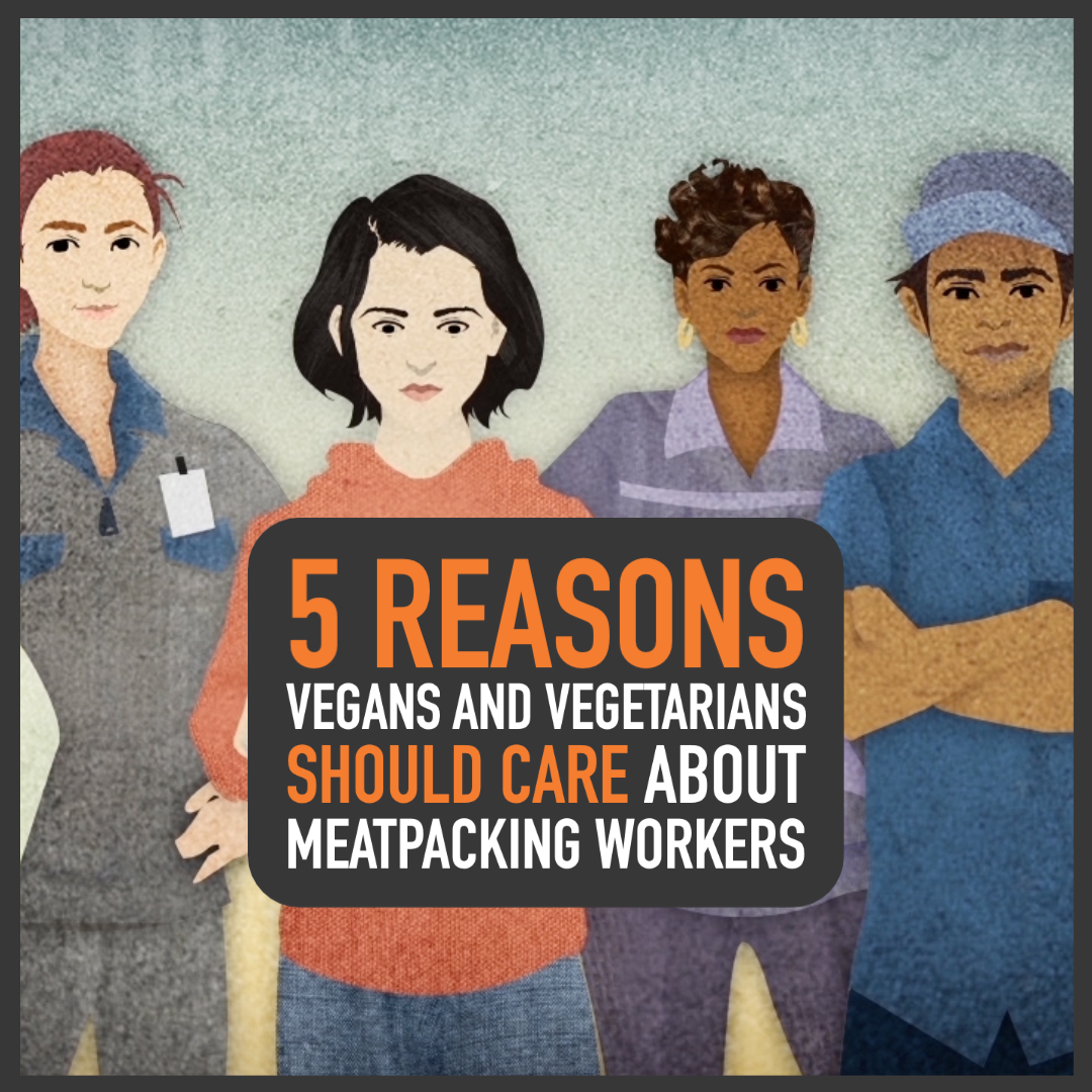 5 reasons vegans and vegetarians should care about meatpacking workers