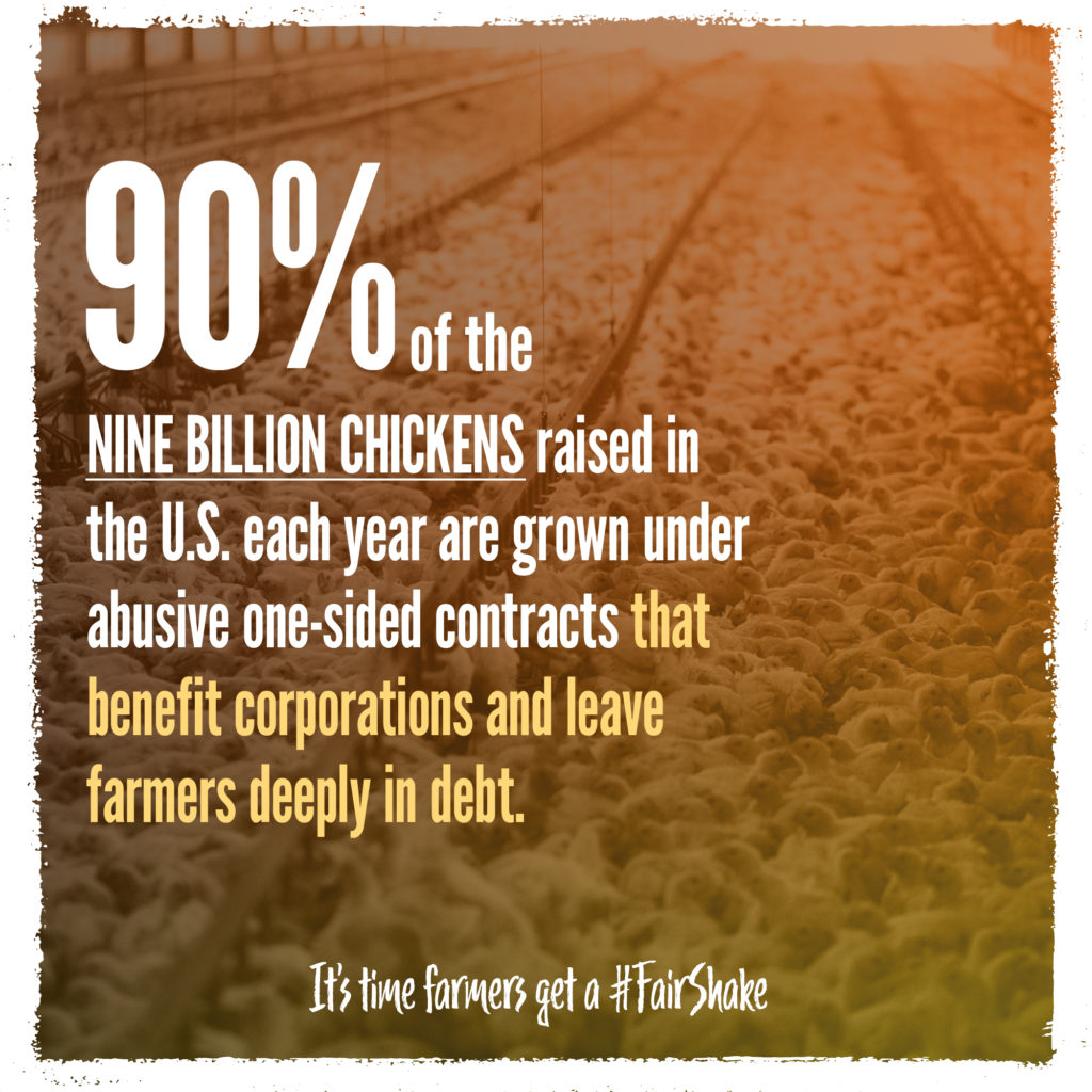 Text reads: "90% of the nine billion chickens raised in the U.S. each year are grown under abusive one-sided contracts that benefit corporations and have farmers deeply in debt." It's time farmers get a #FairShake.