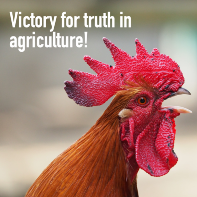 Text reads: Victory for Truth in Agriculture. Photo of rooster crowing.